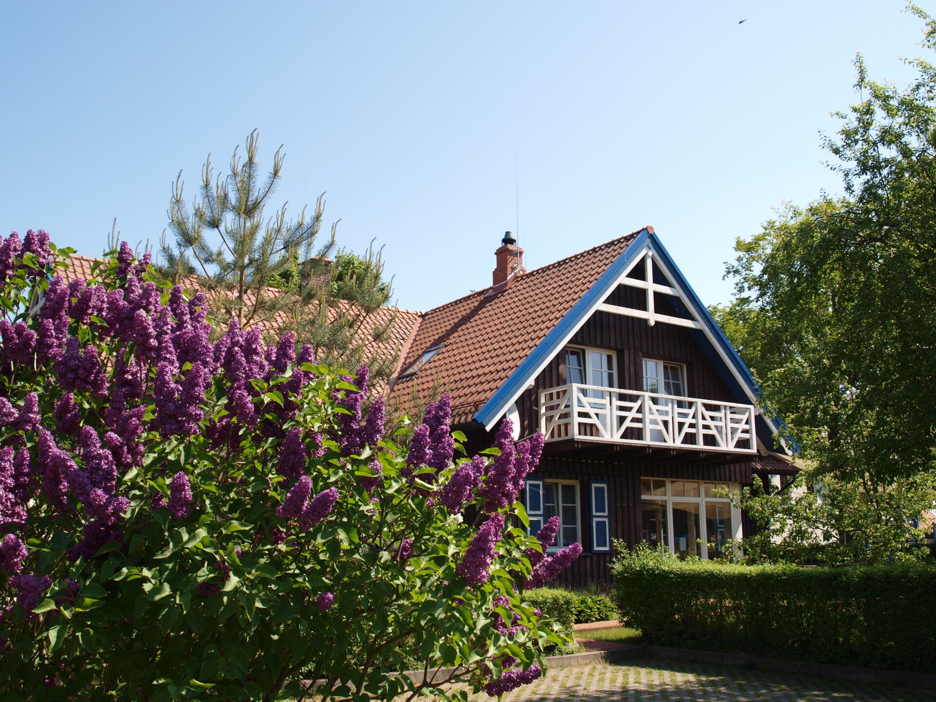 Haus Aika mit blühendem Garten